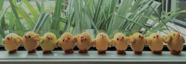 Little chick soft toy knitting pattern using 8 ply yarn - Image 4